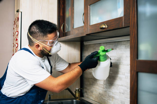 Best Local Pest Control Services  in Bowie, TX