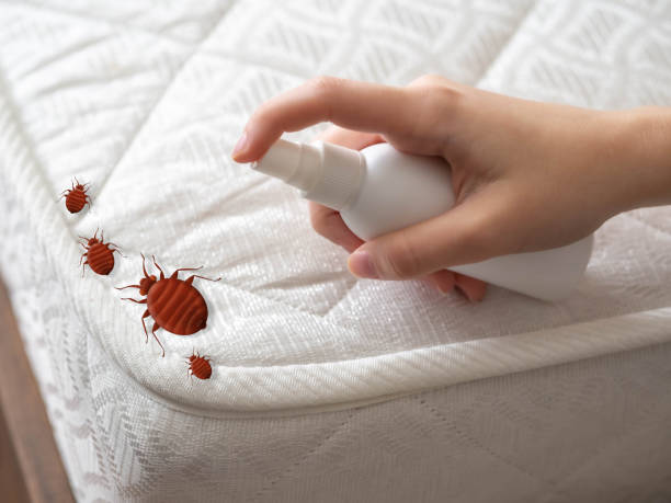 Best Emergency Pest Control  in Bowie, TX